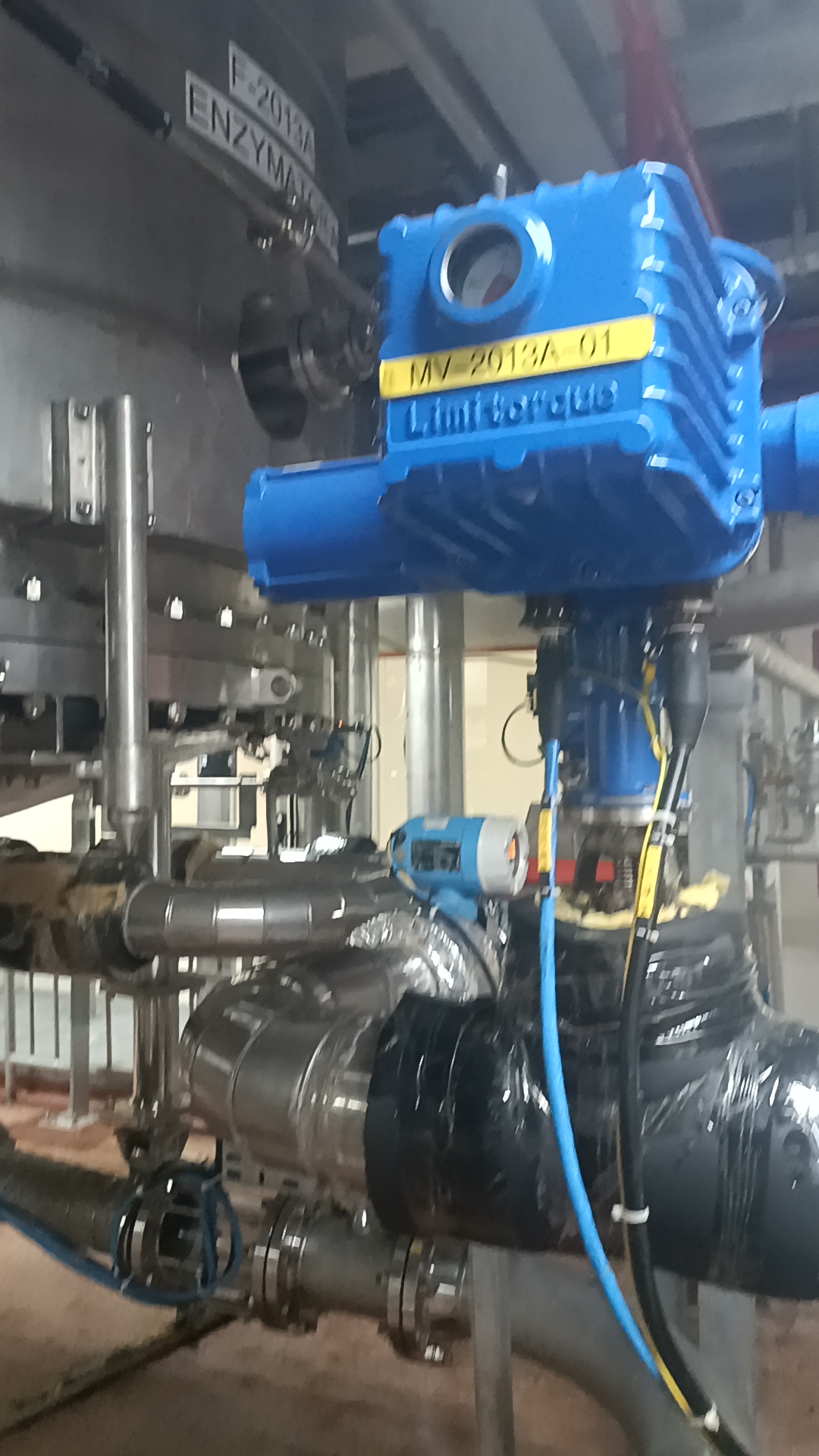 Used Enzymator - Shanghai Morimatsu - SG005