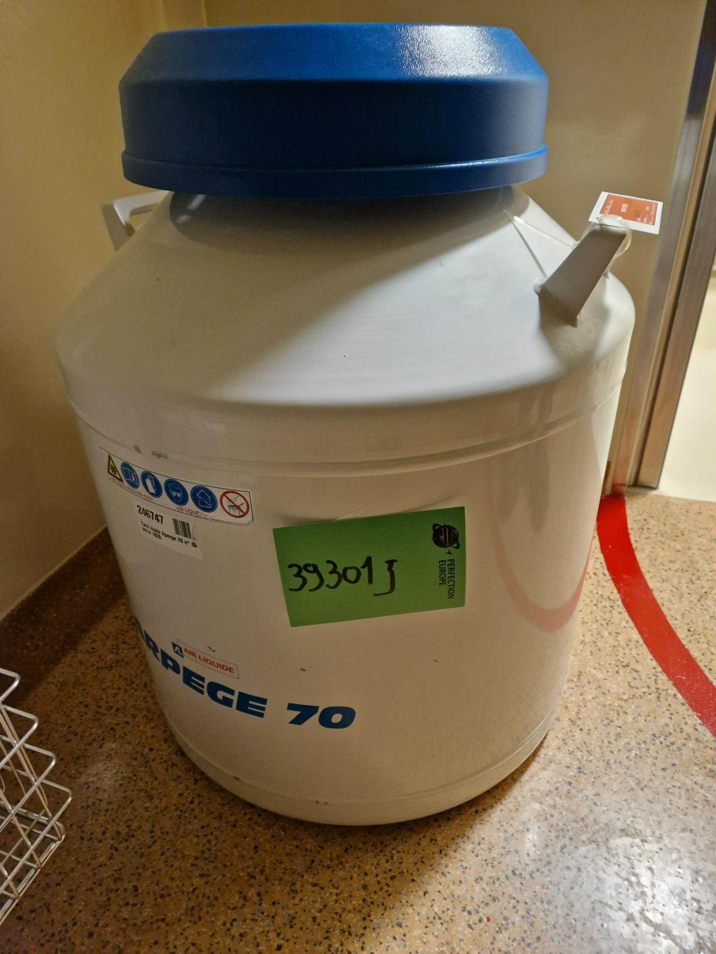 Used Liquid Nitrogen Tank - Air Liquide - Arpege 70 - 39.301.GR