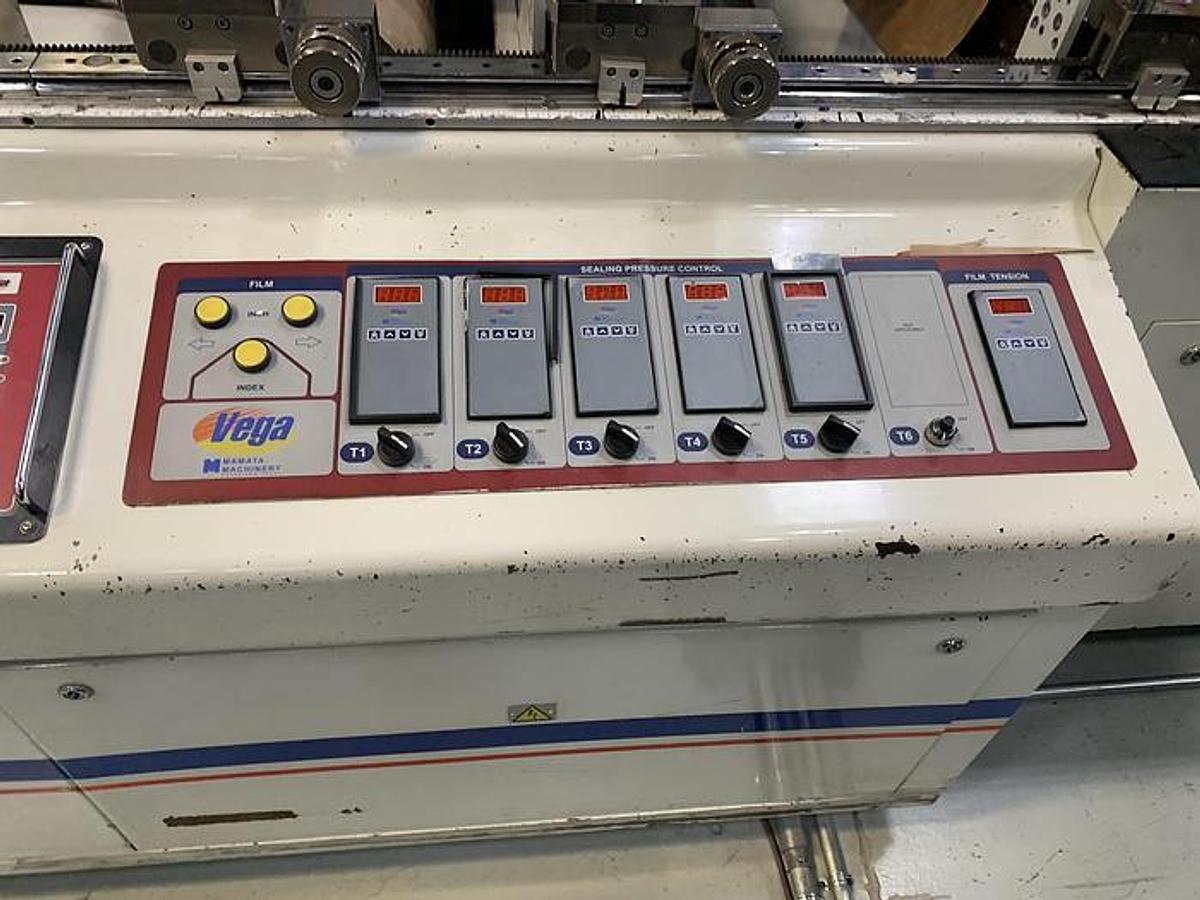Used MAMATA VEGA 820 PLUS Stand Up Pouch & Bag Machine - 2010