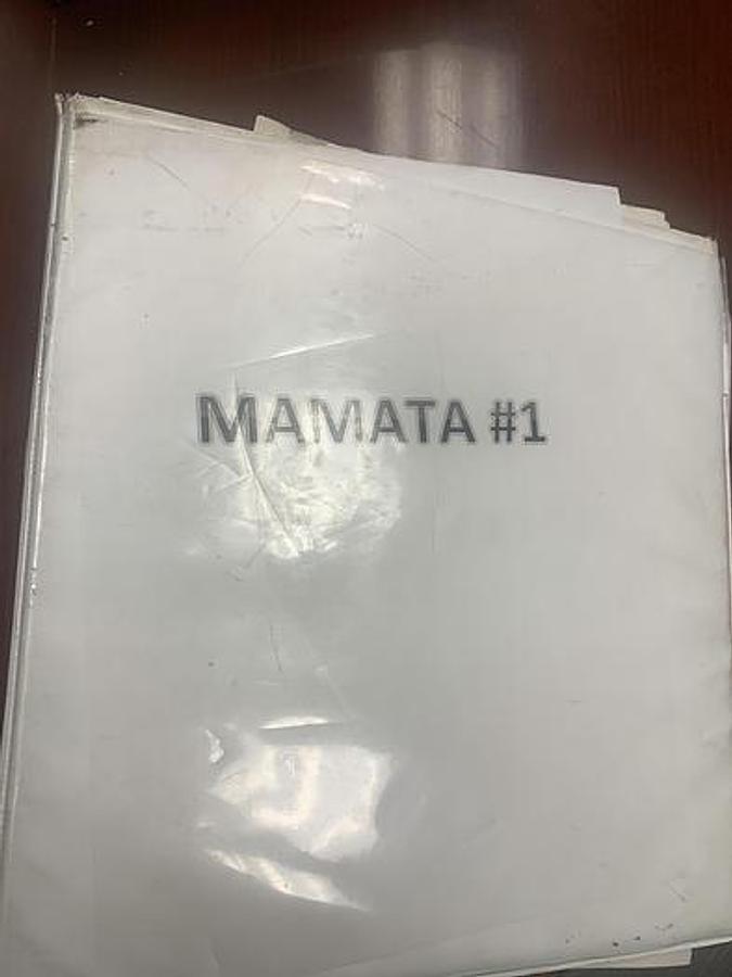 Used Mamata Vega 610 48" Stand Up Pouch Machine - 2007