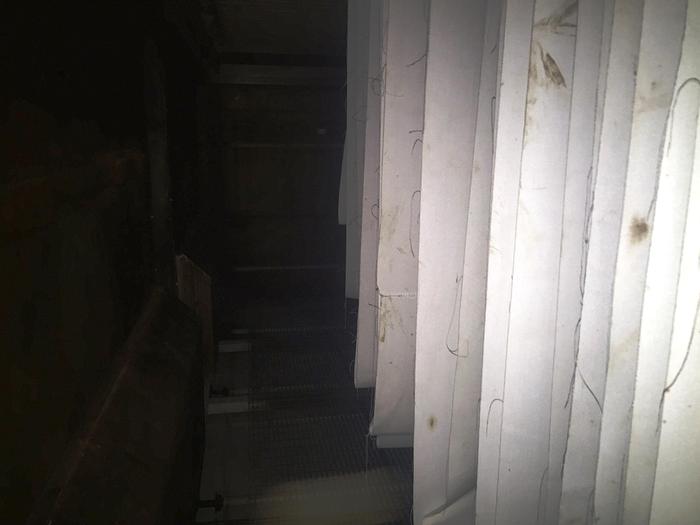 Usato STEAMER MS 220