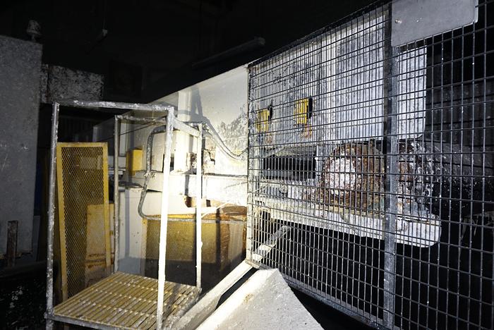 Used 50' LONG BELT CONVEYOR 48" WIDE