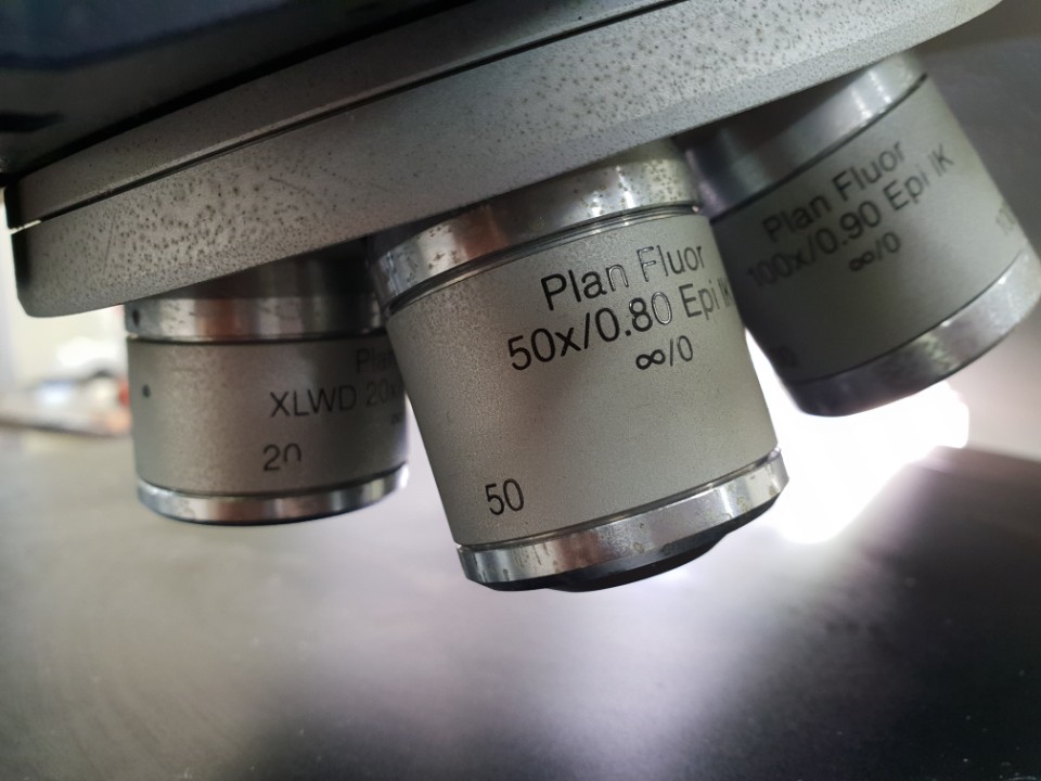 Used Leica Reichert-Tic Polycon Microscope