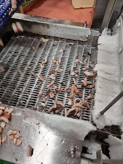 Refurbished 1999 Frigoscandia GYRoCOMPACT 400 Classic