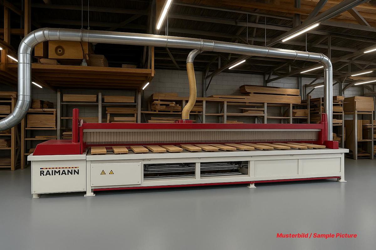 Gebraucht Langschnittkreissäge Raimann FLS 170-6200