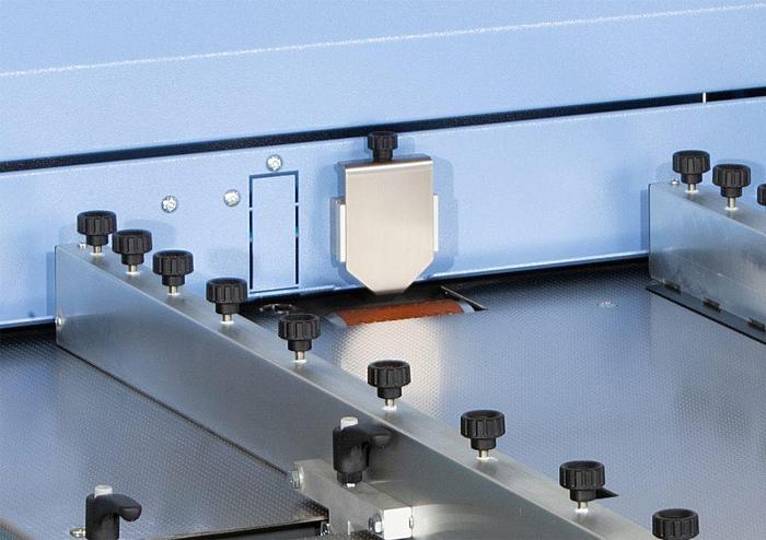 Bacciottini Pit Stop FM Speed