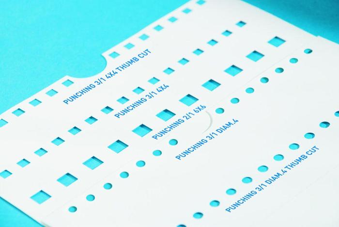 Bacciottini Pit Stop FM Speed