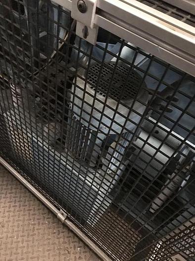 Used 2003 BRAUN 600LB OPEN POCKET