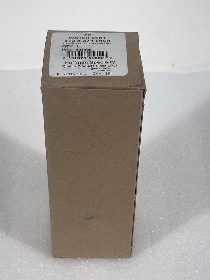 Bell & Gossett Hoffman Specialty No 79 Air Vent for Water Lines