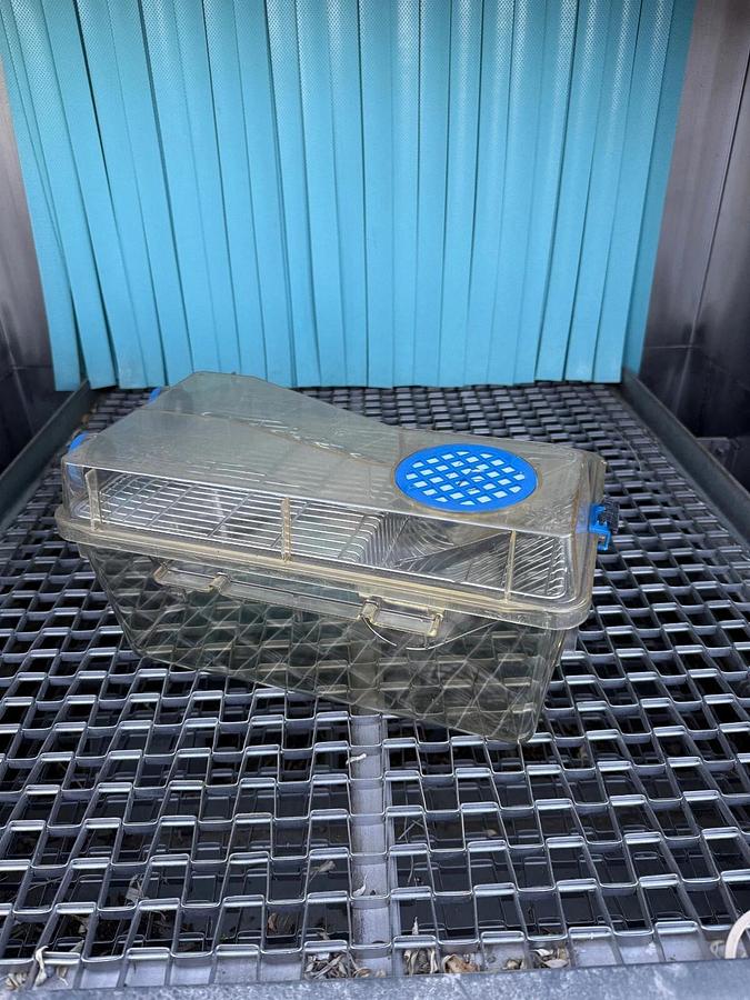 Used Techniplast Ventilated Lab Rodent Cage Rack System - West Coast