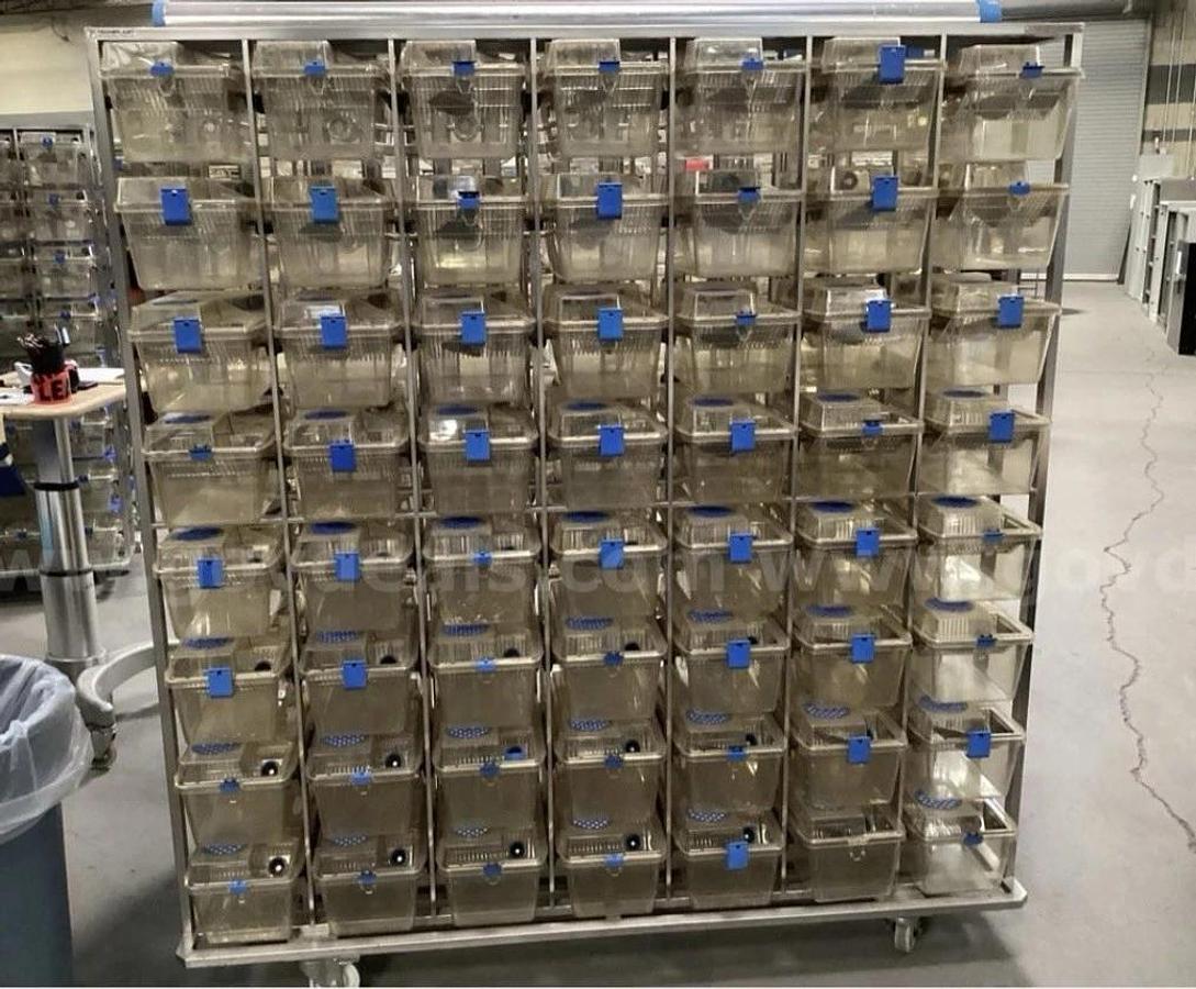 Used Techniplast Ventilated Lab Rodent Cage Rack System - West Coast