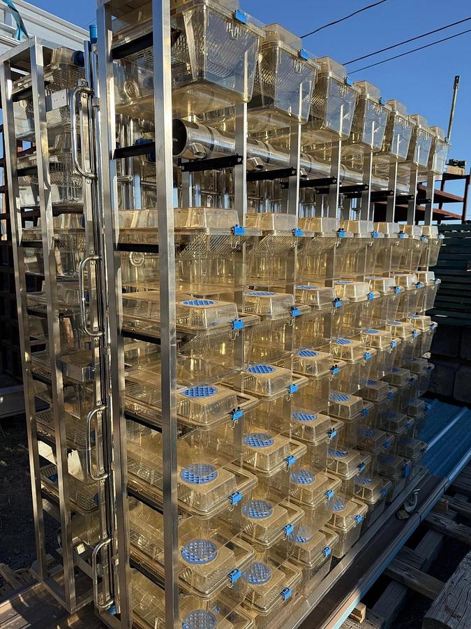 Used Techniplast Ventilated Lab Rodent Cage Rack System - West Coast