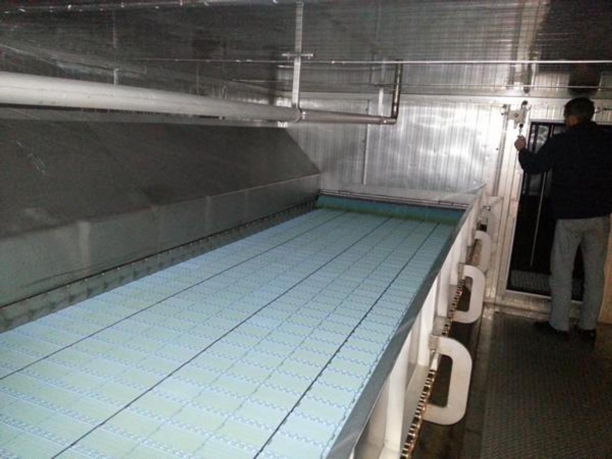 D'occasion CONGÉLATEUR IQF FERGUSON