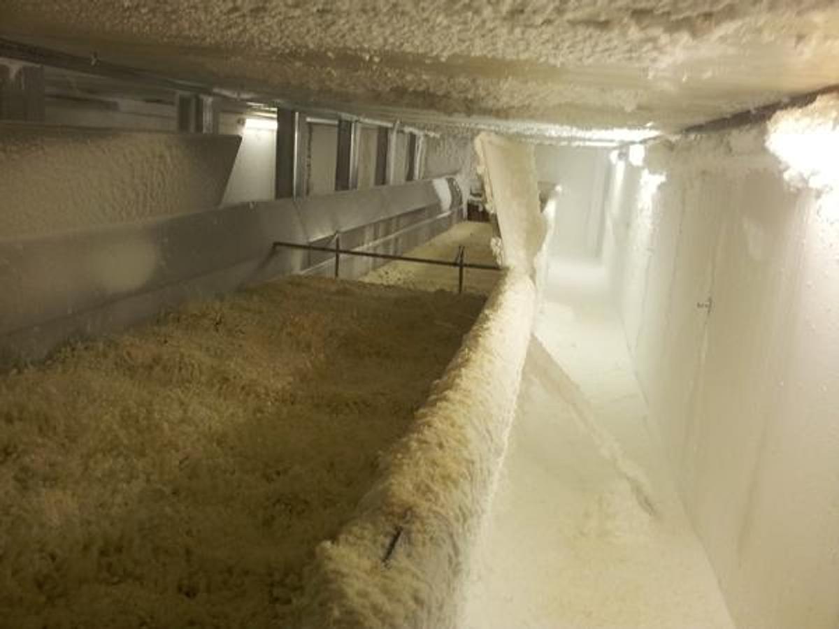 Used Used SKT IQF Freezer