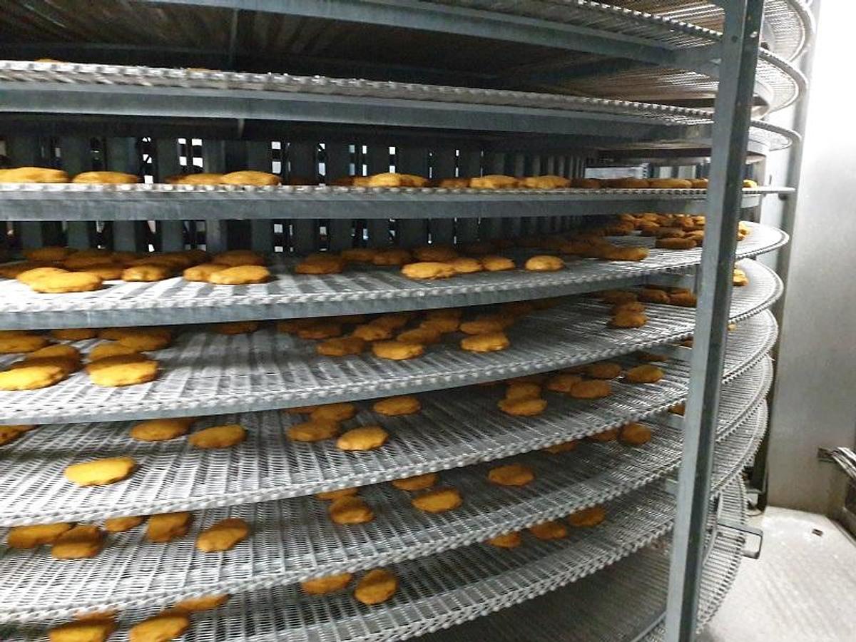 Used Used Samifi Spiral Freezer