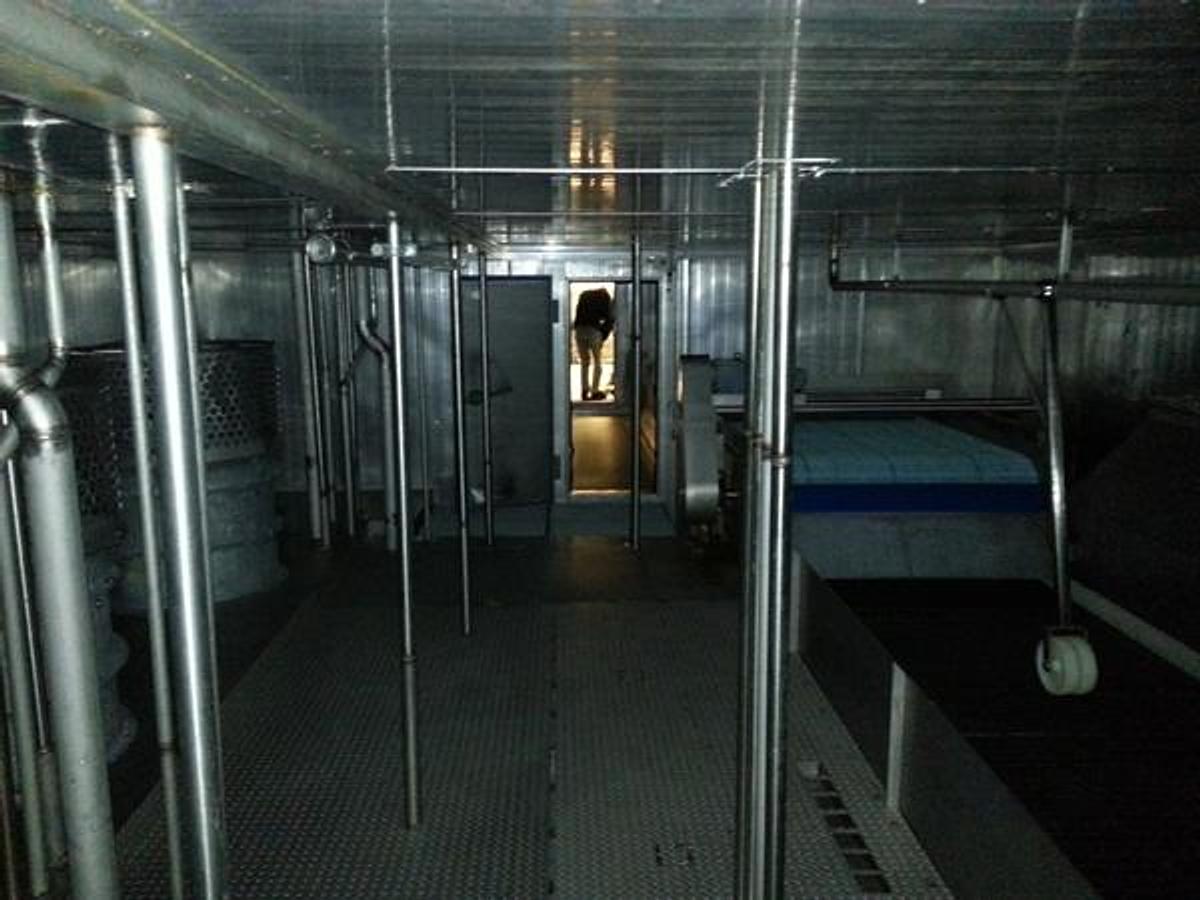 D'occasion CONGÉLATEUR IQF FERGUSON