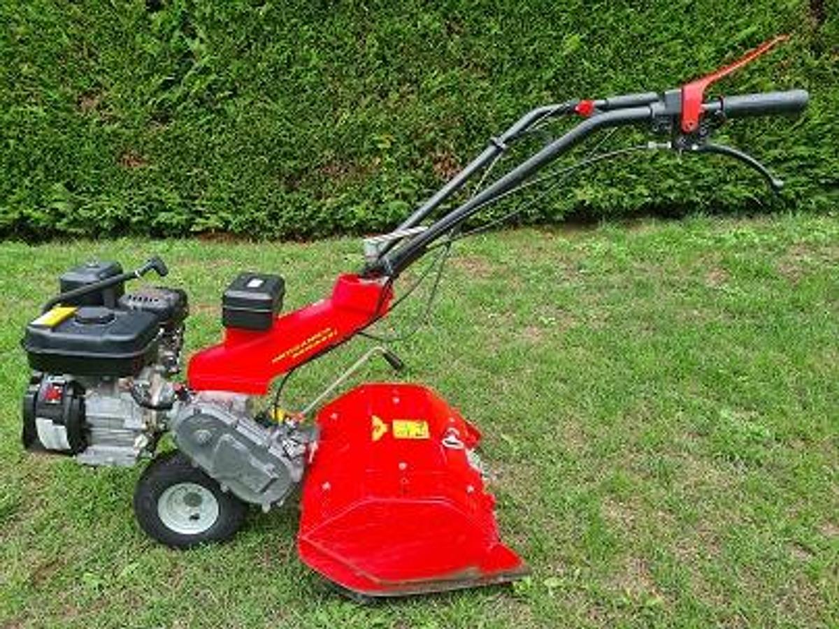 Used Tuinfrees Benassi RT401 Robin 50 cm. gebruikt