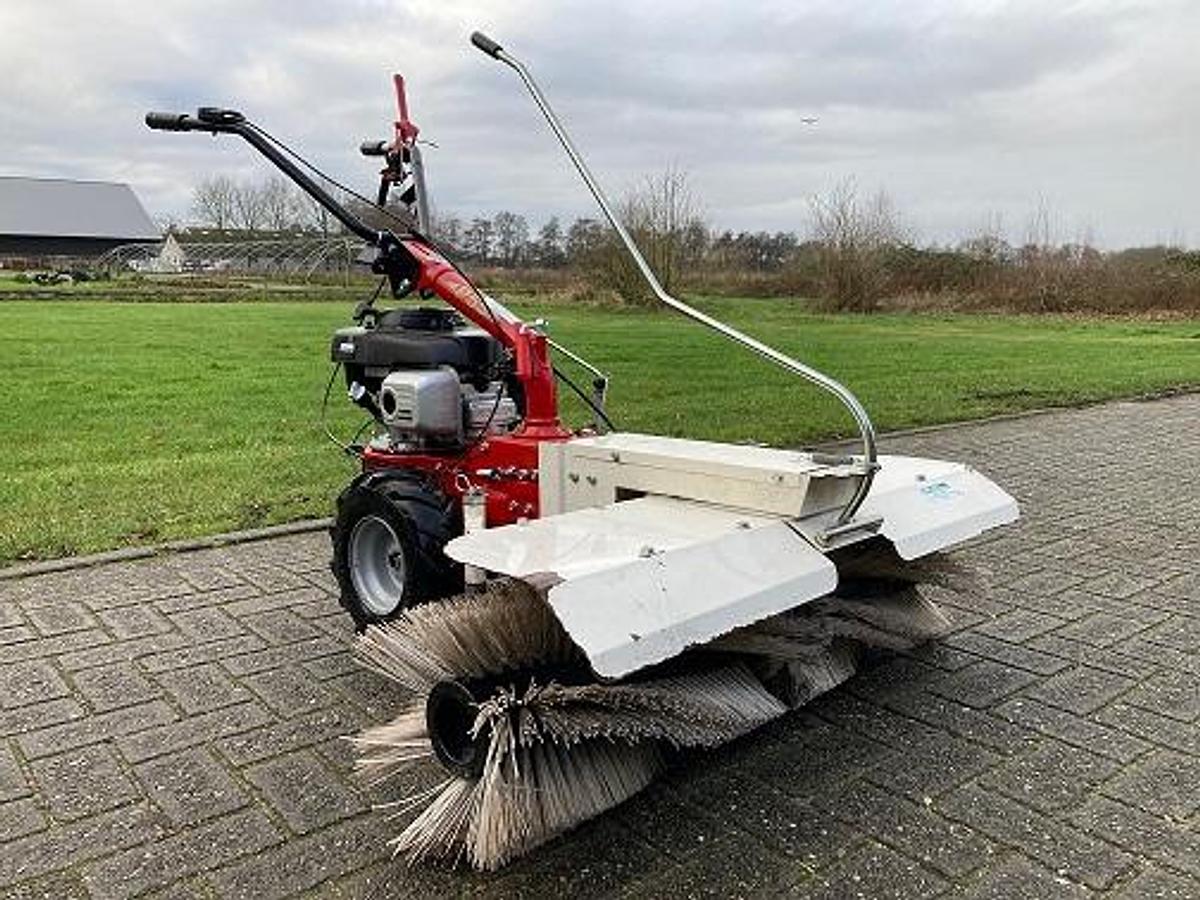 Used Tuinfrees Eurosystems P55 gebruikt