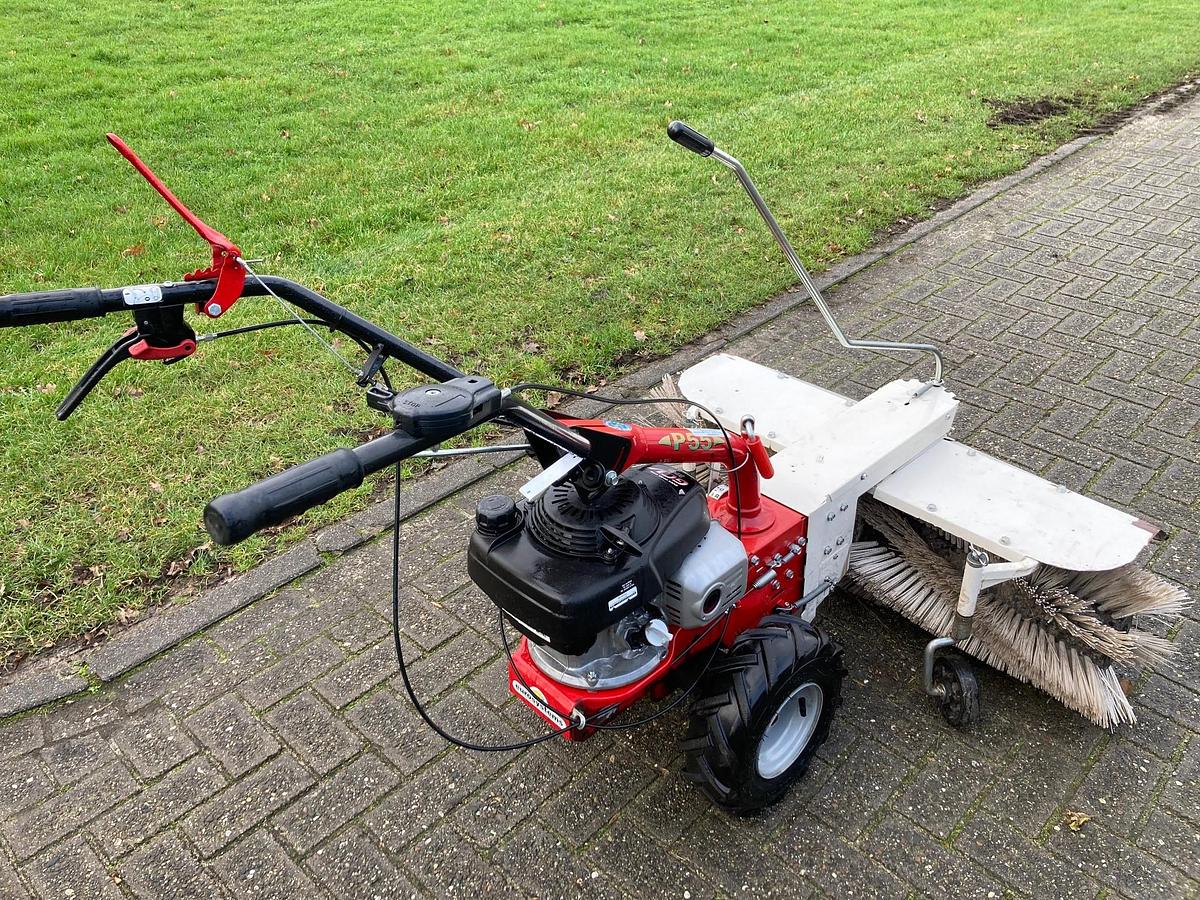 Used Tuinfrees Eurosystems P55 gebruikt