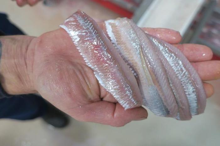 Used BAADER  Filleting lines for herings and mackarel