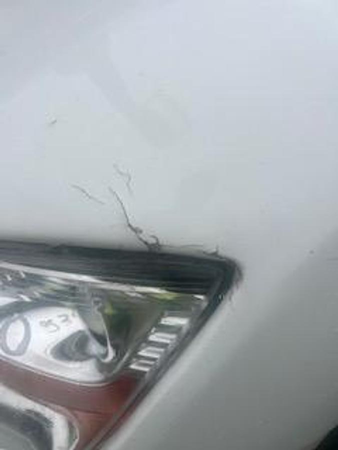 Used 2019 Peterbilt 579 Day Cab