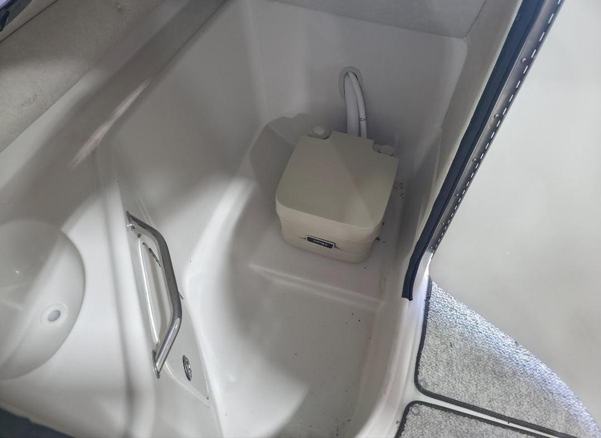 Used 2008 Sea Ray 240 Sundeck