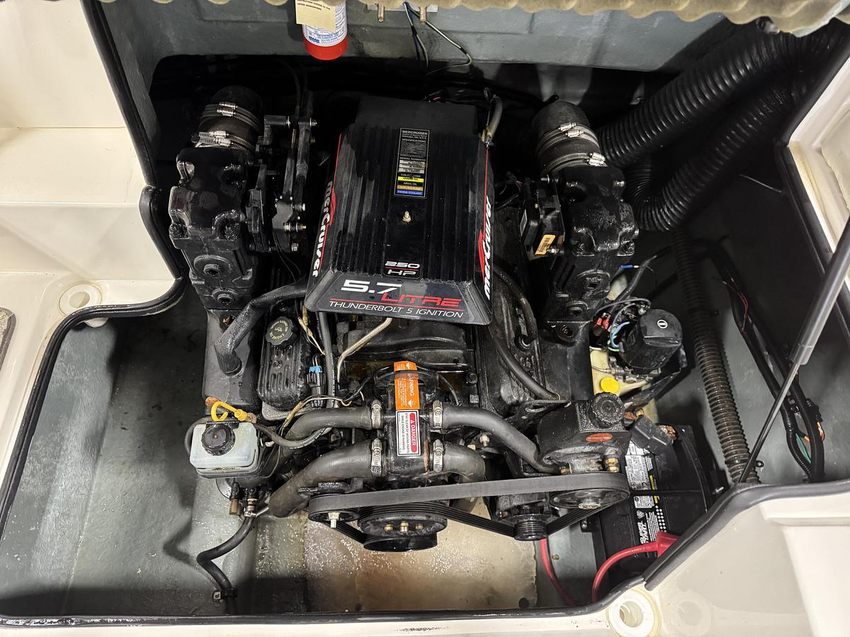 Used 1998 Sea Ray 240 Sundeck