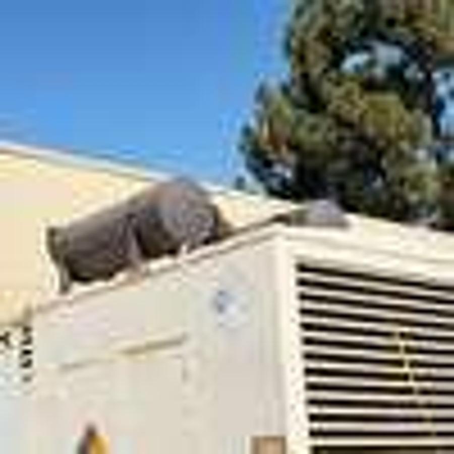 Used Used Cummins DFJD Diesel Generator, 401 Hrs, 1000 KW