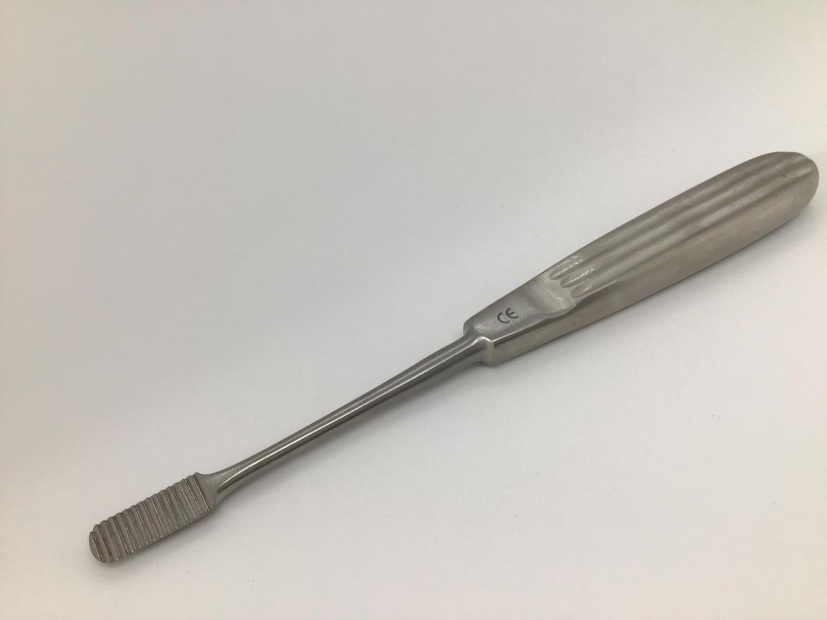 Rasp Straight 170mm