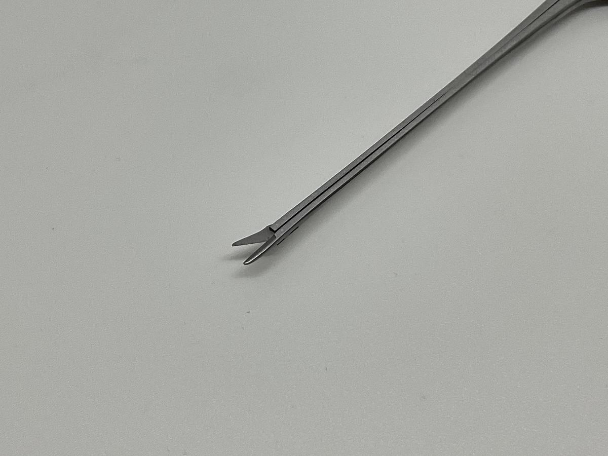 GB Medical Bellucci Ear