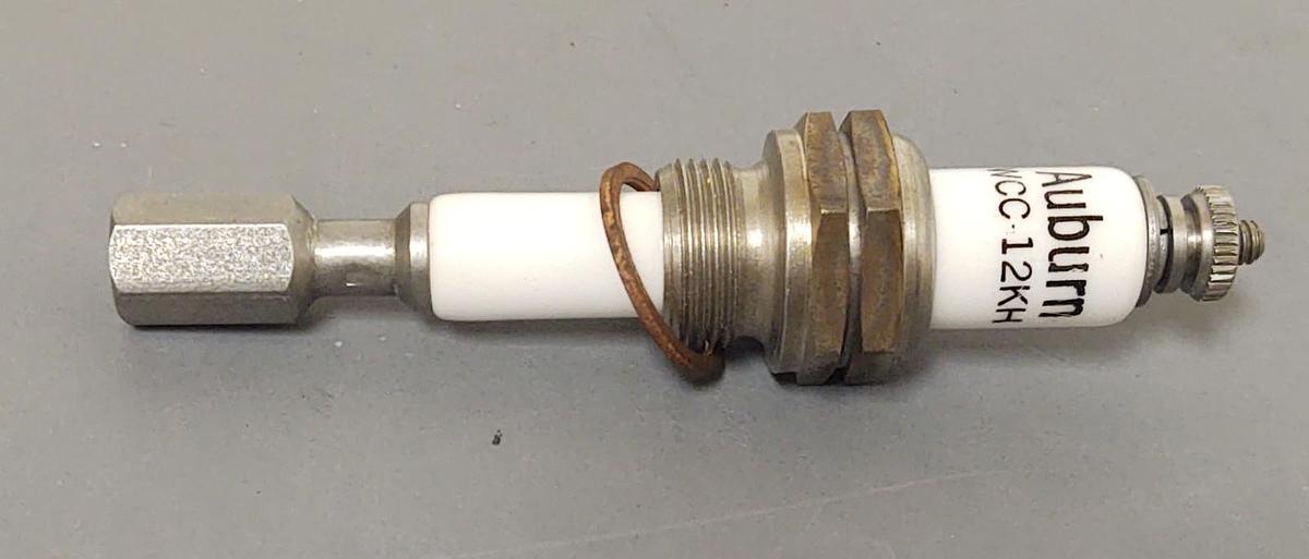 🔥 Auburn Liquid Level Electrode E5-WCC-12KH CS-13101-WCC-12KH ​MA31 NEW