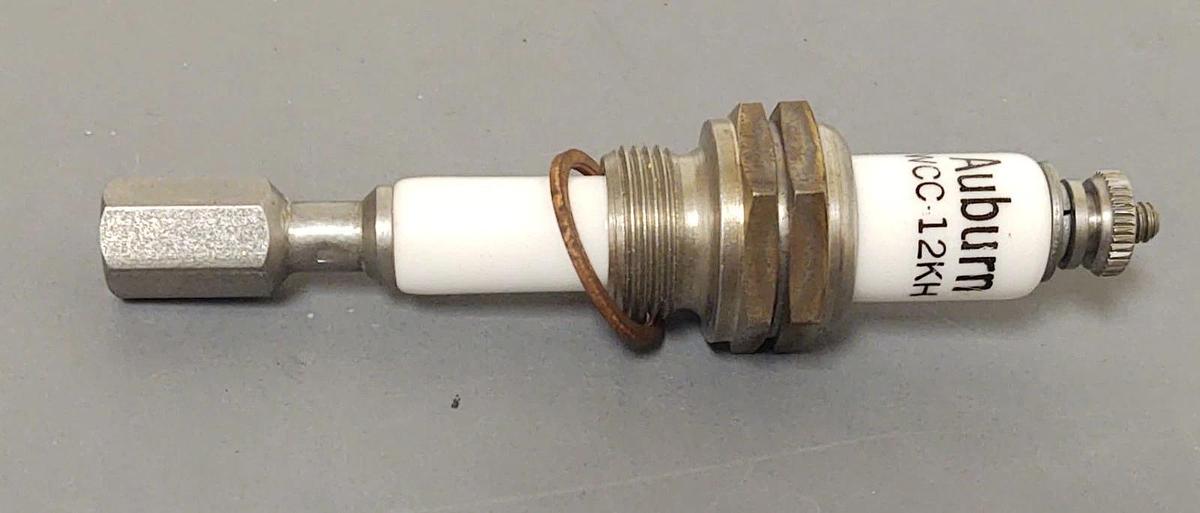 🔥 Auburn Liquid Level Electrode E5-WCC-12KH CS-13101-WCC-12KH ​MA31 NEW