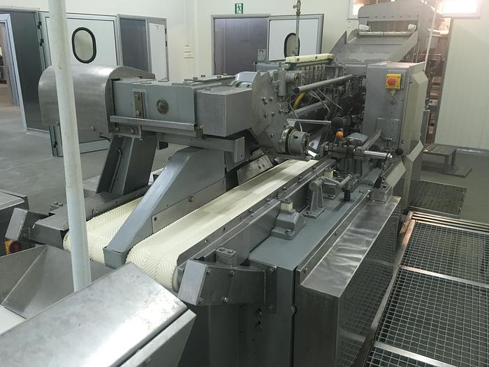 Used BAADER, CARNITECH, MULTIVAC, Fomaco, Salmon processing line