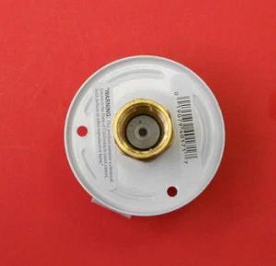 RV white City Water Fill inlet flange Brass w/ check valve RV Parts FPT Female