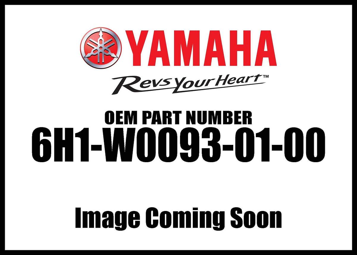 Yamaha 6H1-W0093-01-00 CARB. REPAIR KIT; 6H1W00930100