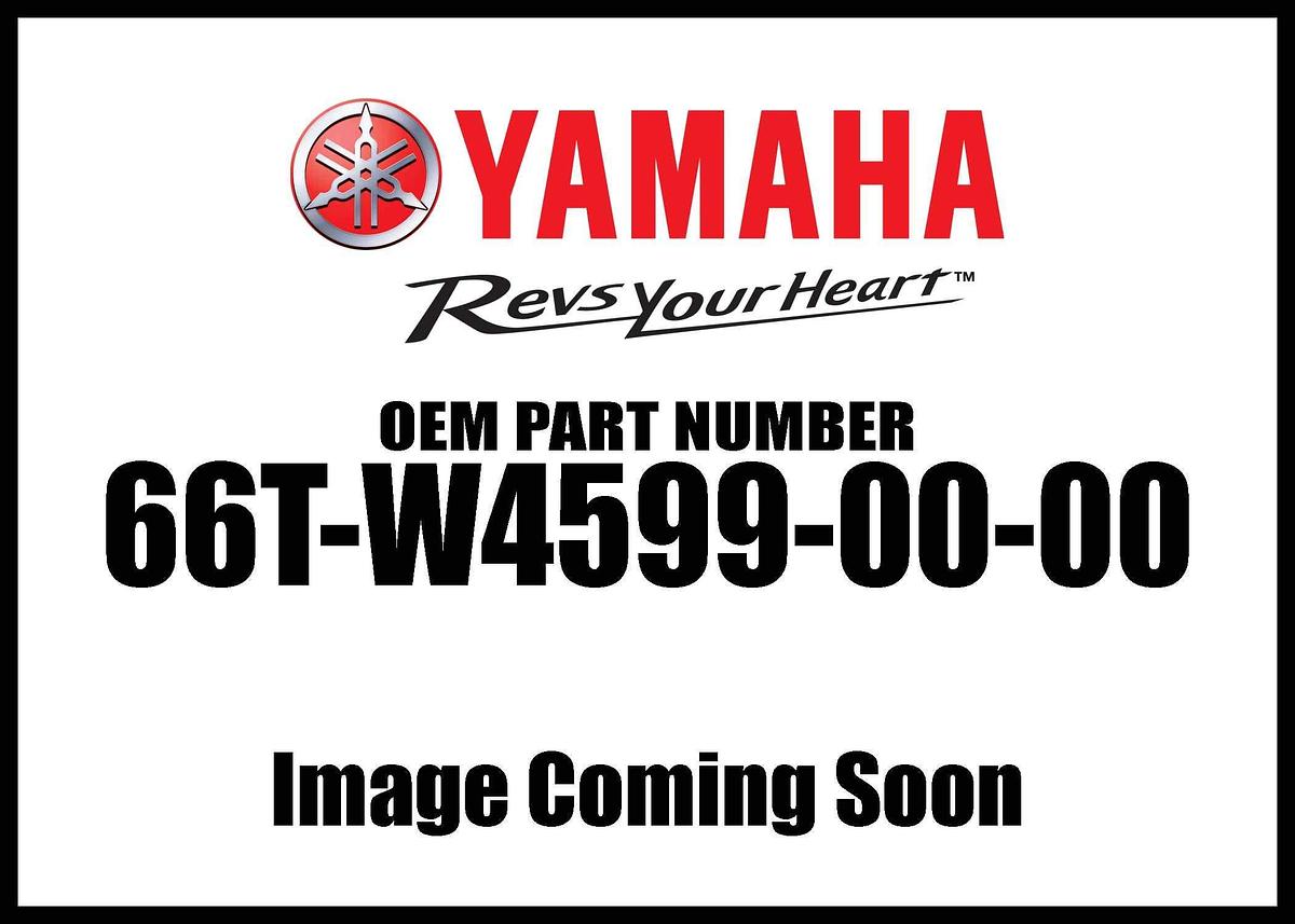 Yamaha OEM Prop Nut Kit 689-W4599-00-00 - Fast Shipping