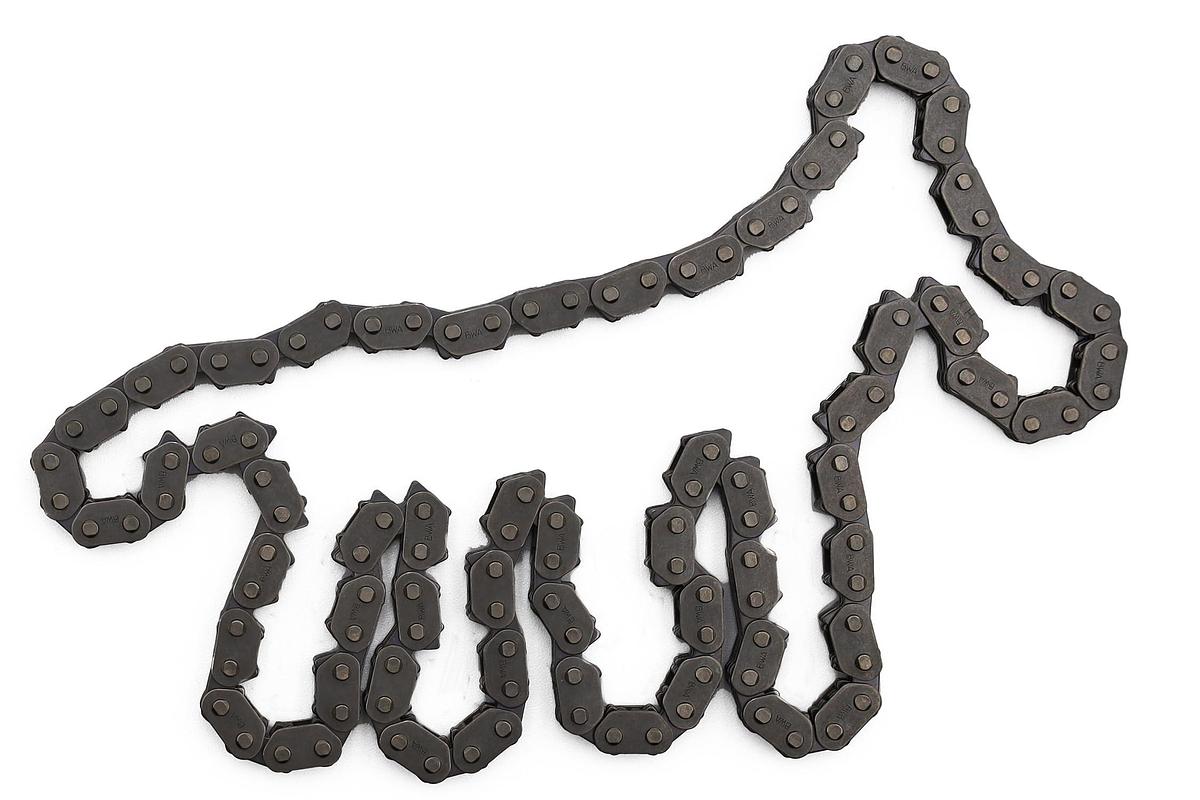 OEM Yamaha CAM CHAIN TIMING CHAIN 04-13 YFZ 450 R YZ YFZ450 YFZ450R