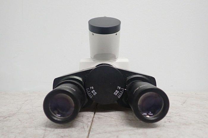 Used Unmarked Trinocular Microscope Head with 2 Eyepieces WF10X/20