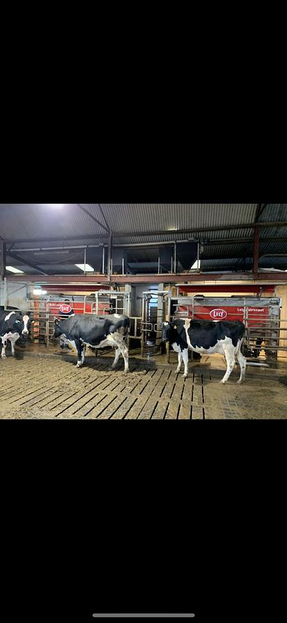 2022 2 x Lely A5 RH + LH