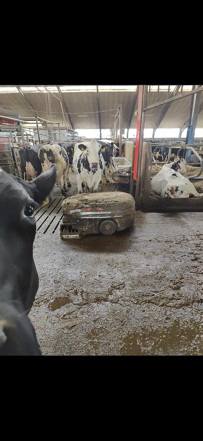 Gebraucht 2023 Lely  Collector C1