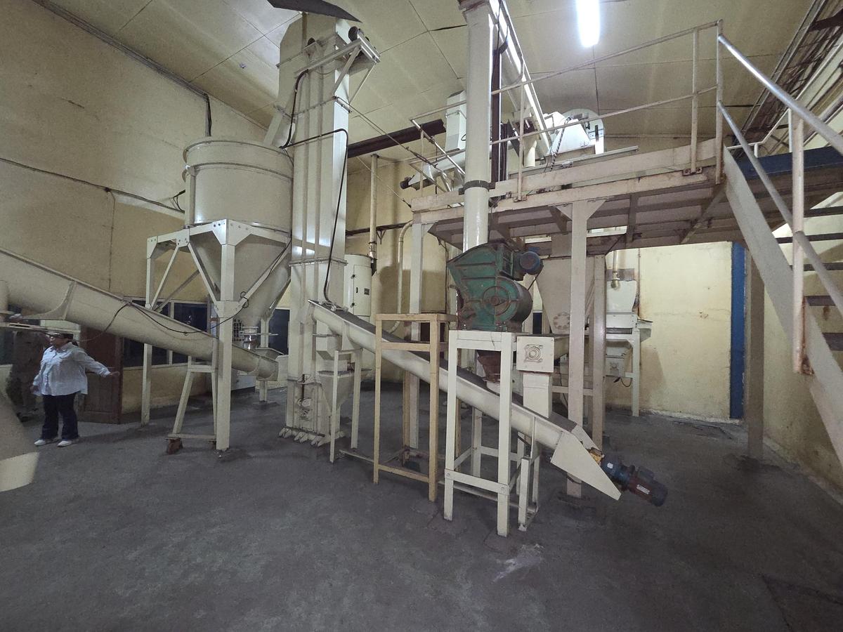 Usato Linea completa per lavorazione fave di cacao Carle & Montanari / Lehmann 1.200 kg/h