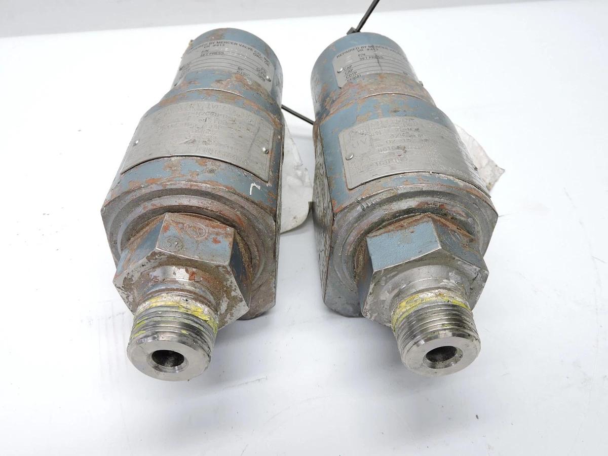 (Lot of 2) - Mercer Valve  91-M2C61P1541 3/4" Pressure Relief Valve