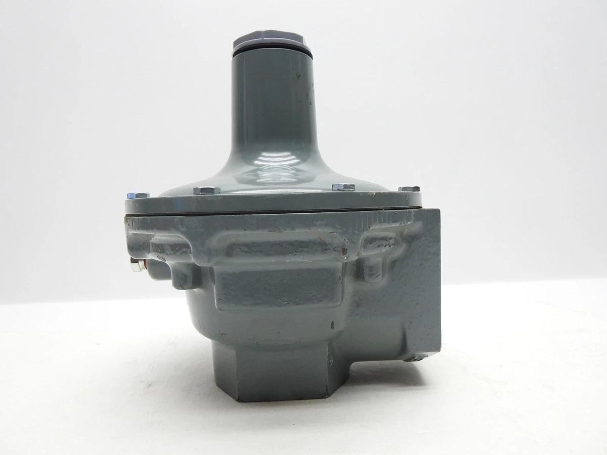 Belgas P289 Series P28916002000000 .5-2.25# SPRING