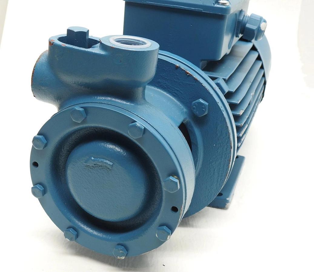 Calpeda TP 100/B 2.2 kW (3HP) - NEW READ
