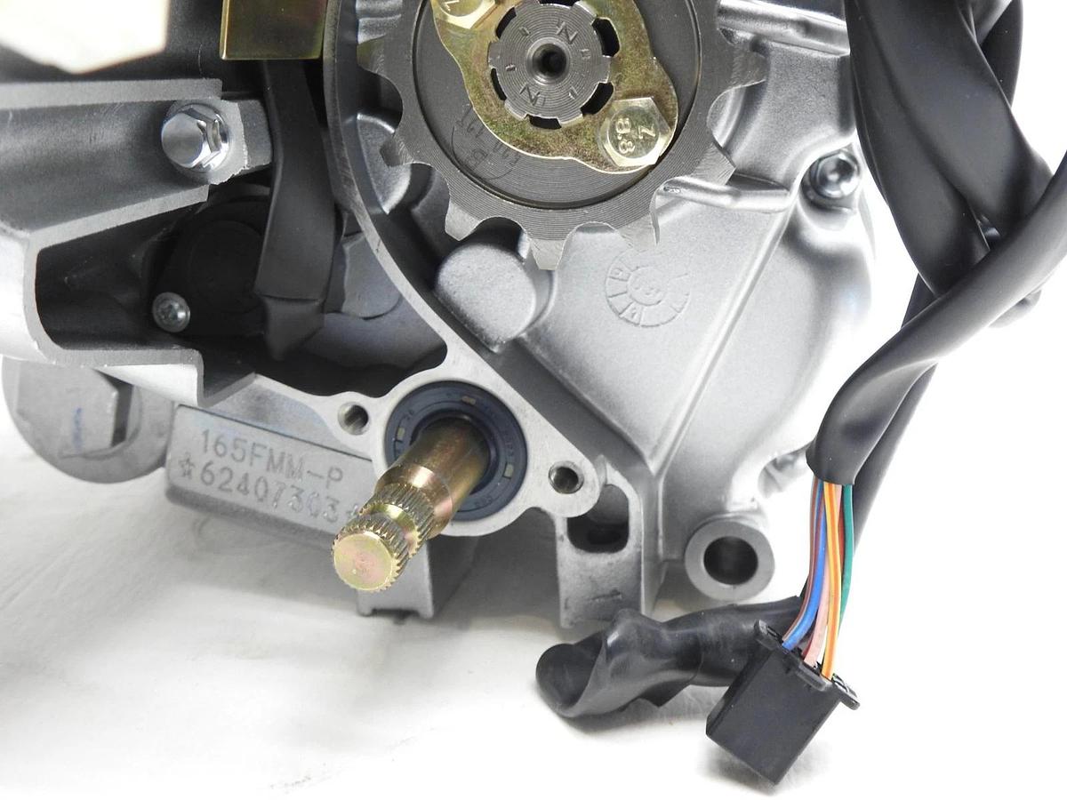 4-Stroke 200cc Vertical ATVs Engine for 200CC, 250cc ATV's 308-999039 165FMM