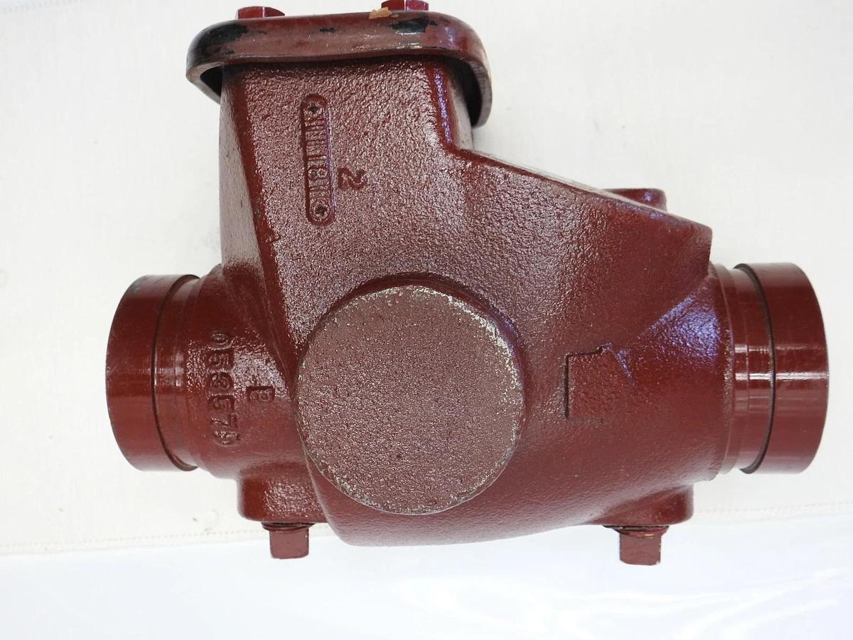 Viking Model D-1 05497C 2-1/2" Swing Check Valve 300PSI - GENUINE OEM NEW