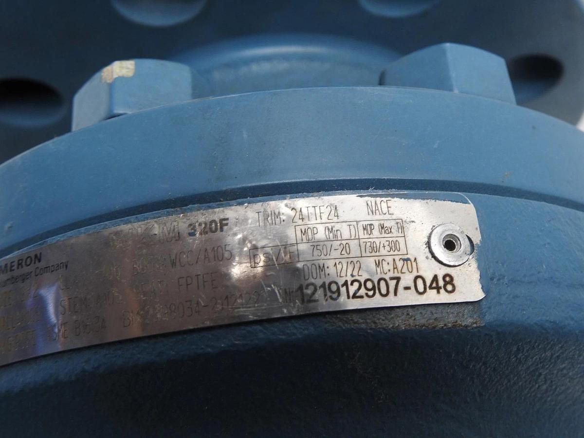Cameron 2X2 WKM 320F 2398034-2112122 Ball Valve A105 PTFE Class:300 WCC/A105