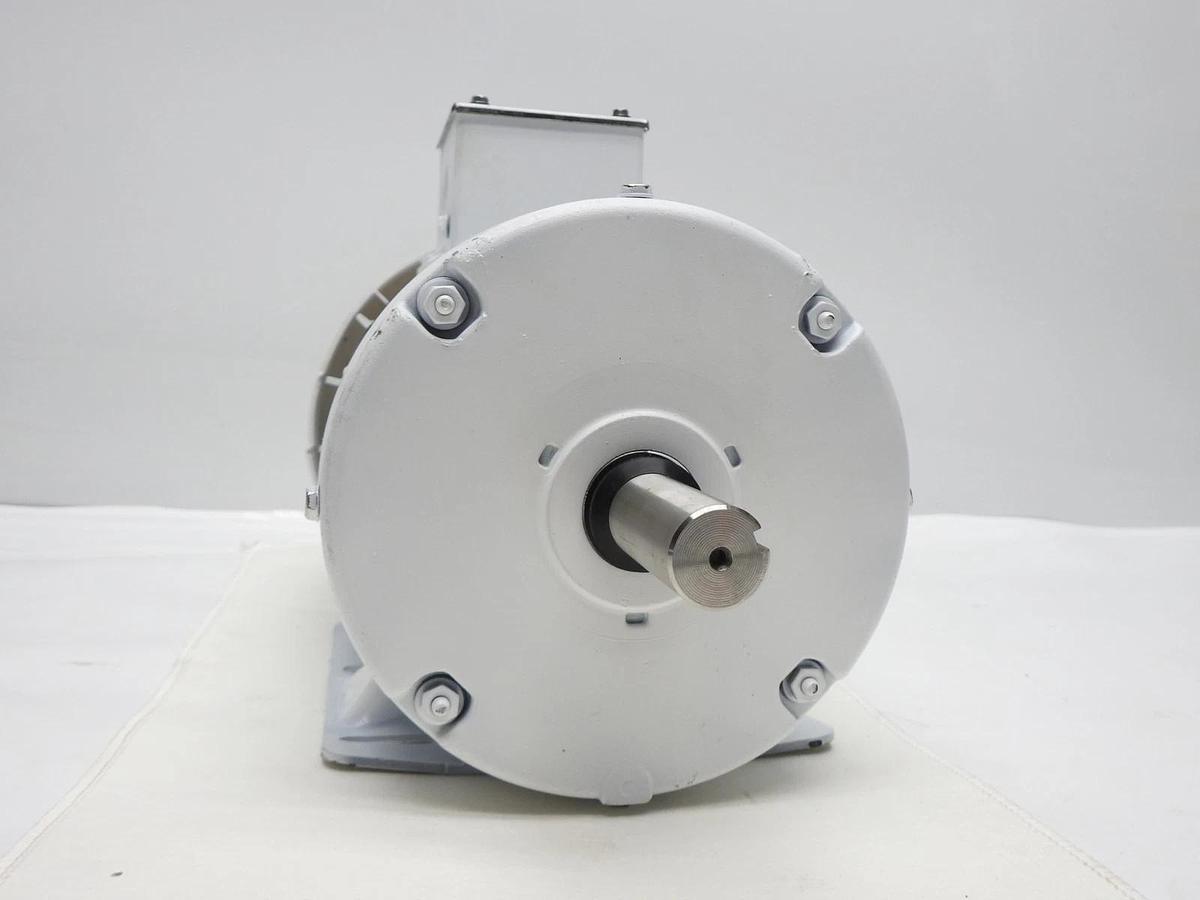 Leeson 119783 3 Hp 230/460V Washguard Electric Motor - NEW BENT COVER