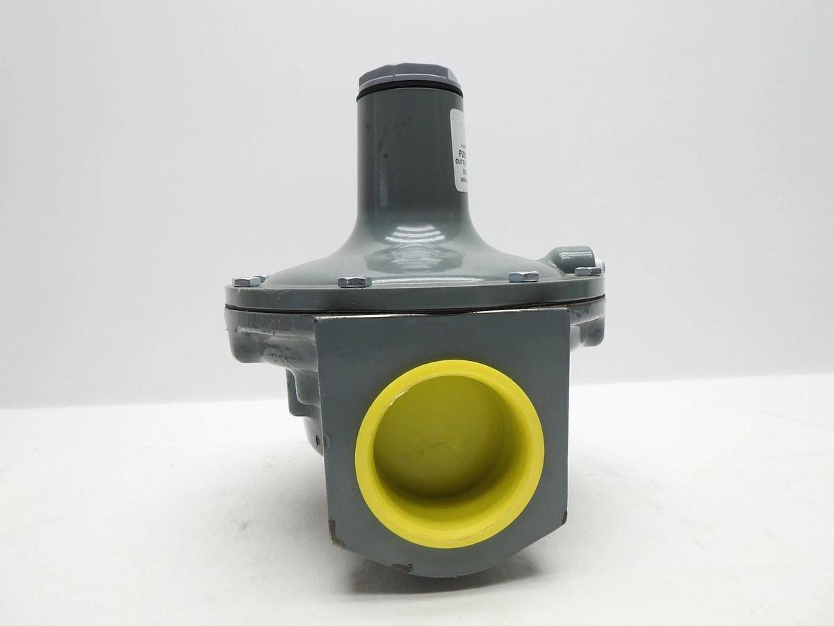 Belgas P289 Series P28916002000000 .5-2.25# SPRING