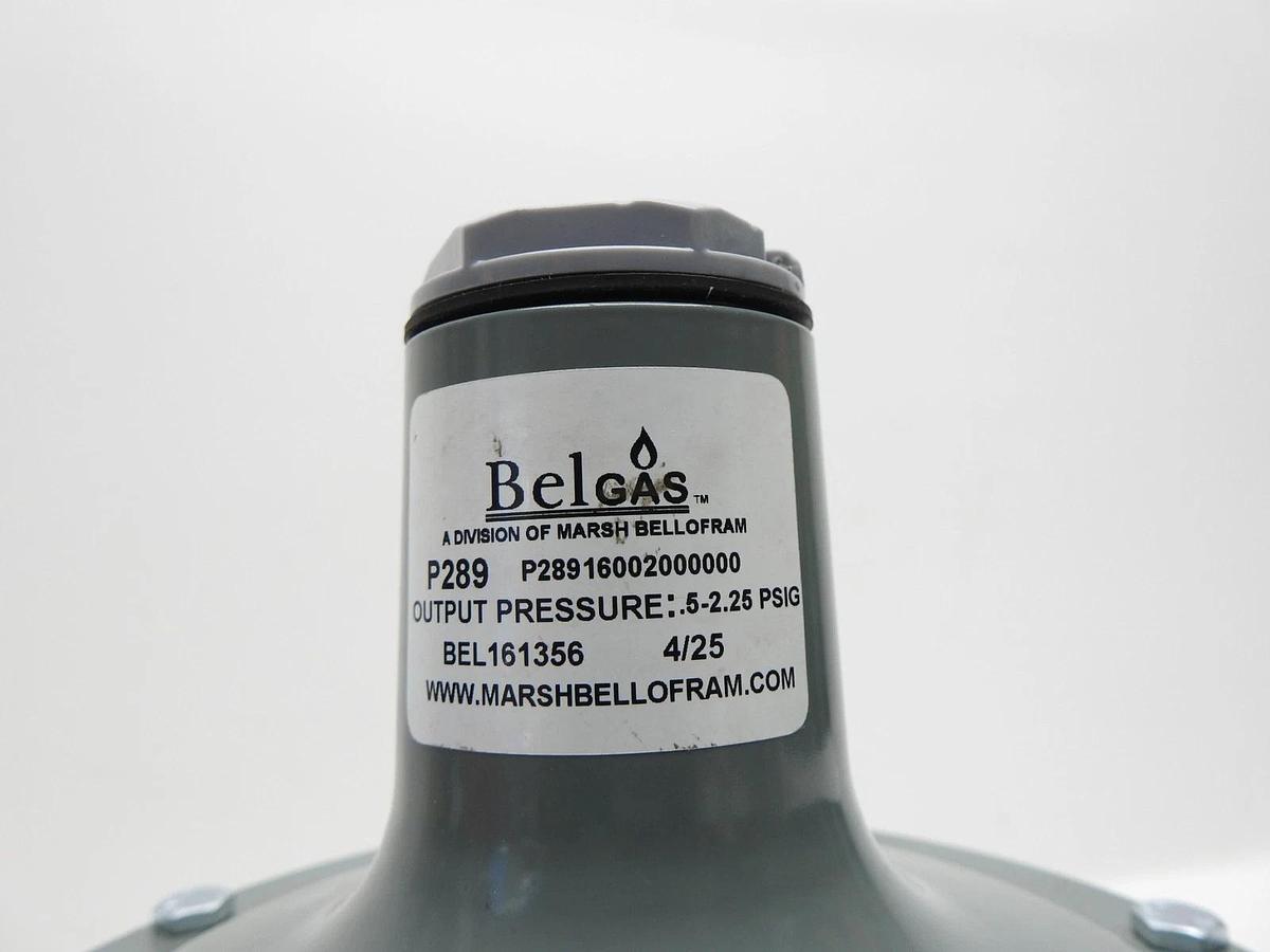 Belgas P289 Series P28916002000000 .5-2.25# SPRING